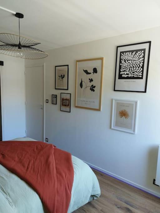 Appartement Au Coeur De Paimpol Eksteriør billede